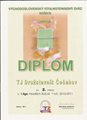 Diplom-1